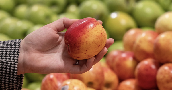 85% táo châu Âu chứa "cocktail" hóa chất bảo vệ thực vật, tiềm tàng nguy cơ liên quan đến ung thư và vô sinh avatar1772551604307 1772551604737242755092png