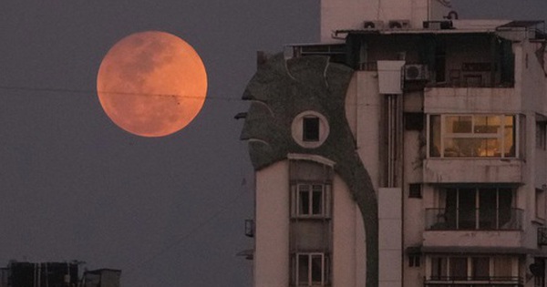 Nguyệt thực 3-3: Chùm ảnh trăng máu rực đỏ từ khắp thế giới avatar1772589587725 17725895884231213544332 0 22 315 526 crop 17725896112441562358660jpg