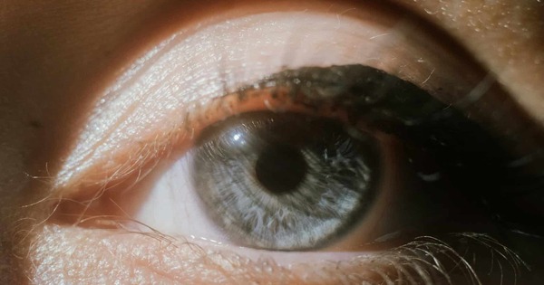 Đến năm 2050, một nửa dân số thế giới sẽ bị cận thị! avatar1772615057054 1772615057690256386528jpg