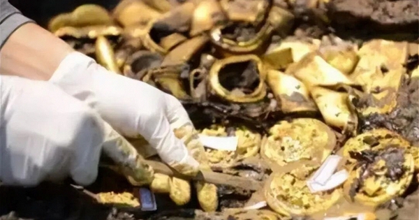 Đào sâu phát hiện hơn 13,4 kg vàng và 166,5 kg bạc, công trường xây dựng lập tức bị phong tỏa avatar1772640883428 17726408837771862630629jpg