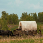 Sau hơn 40 năm, Ngôi Nhà Nhỏ Trên Thảo Nguyên lại gây sốt avatar1772686409620 17726864098731074759569 13 131 562 1179 crop 1772686487519930803196png