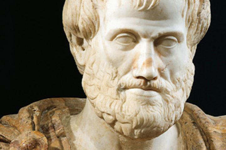 Aristotle đã sai- Ảnh 2.