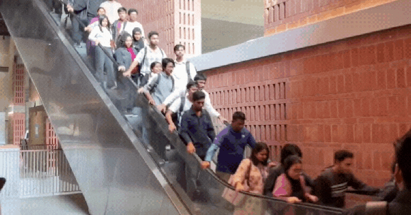 Nấc thang lên thiên đàng: Khoảnh khắc thang cuốn “phóng như điên” khiến sinh viên hốt hoảng, la hét thất thanh. ban sao cua gia toc giau nhat the gioi 20 1765965025078423274956gifpng