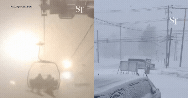 Tình cảnh khó tin tại Nhật Bản lúc này ban sao cua gia toc giau nhat the gioi 25 17670026892811421081802gifpng