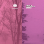 Bầu trời rực hồng trong bão tuyết, đây là "tiên cảnh" gì? ban sao cua gia toc giau nhat the gioi 26 17676764243081532394930 1767690325563 17676903294161057337635 0 0 477 764 crop 17676903857631464851466gifpng