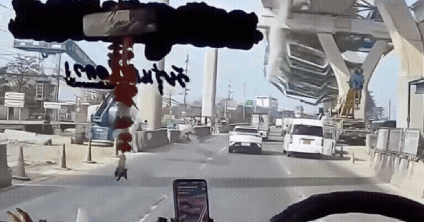 Video cận cảnh khoảnh khắc cần cẩu đổ sập xuống đường ở Thái Lan khiến 2 người tử vong ban sao cua gia toc giau nhat the gioi 28 1768469416991360742663gifpng