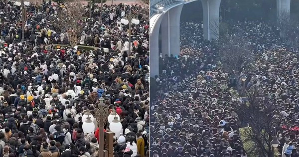 1 điểm du lịch nổi tiếng thất thủ trước biển người ngày cuối năm 2025 30 1 điểm du lịch nổi tiếng thất thủ trước biển người ngày cuối năm 2025 ban sao cua gia toc giau nhat the gioi 3 1767151241824846692593 1767155113969 1767155114392227049583 0 0 477 764 crop 1767155127268703297457jpg