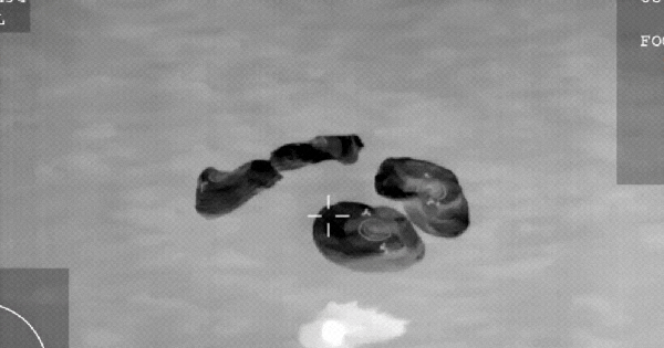 Khoảnh khắc lịch sử: 4 phi hành gia vừa trở về Trái đất sau 1 sự kiện chưa từng có tiền lệ! ban sao cua gia toc giau nhat the gioi 31 1768536930029633443505 0 0 622 995 crop 176853694835570996925gifpng