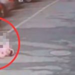 Mẹ cố tình trốn sau khi trả con về nhà chồng cũ, bé gái gào khóc đi tìm rồi sốc tim tử vong ngay trên phố ban sao cua gia toc giau nhat the gioi 6 103459 1768460222854 176846022331086931176jpg