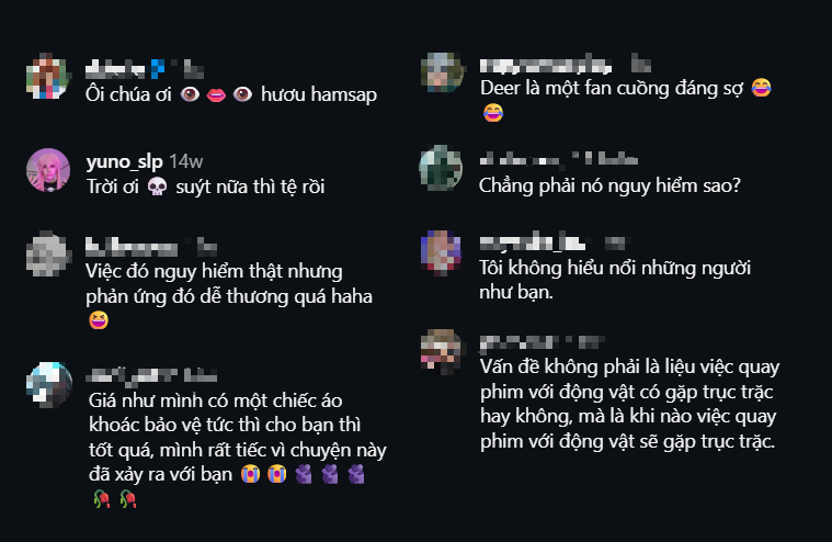 photo-1767409432349 photo-1767409432349