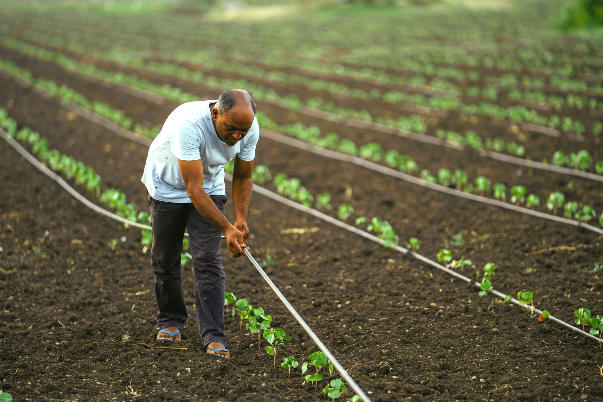 "Phát minh thế kỷ" của Israel rung chuyển thế giới, làm bùng nổ thị trường gần 10 tỷ USD base64 17689844242731905195179 1768988094892 17689880962372146691903