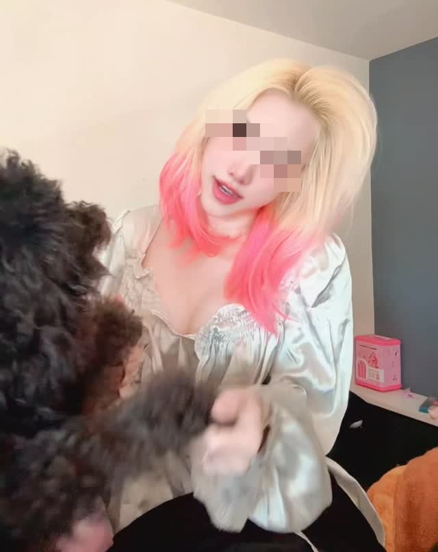 photo-1769699012144 photo-1769699012144