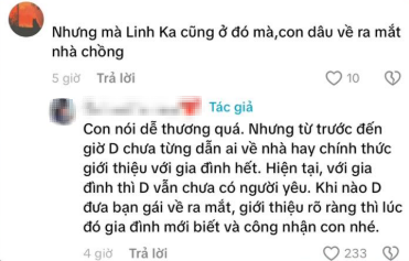 Gia đình nói gì về mối quan hệ của Dương Domic và Linh Ka?- Ảnh 2.