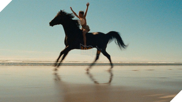Hình ảnh về phim The Black Stallion.