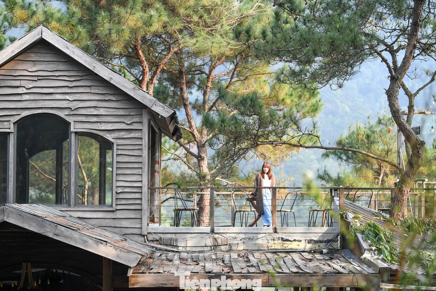 Giới trẻ lên núi uống cà phê, tận hưởng không khí đầu năm - 4