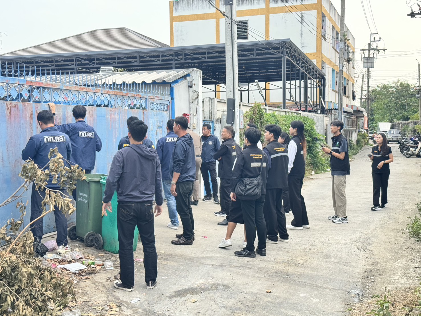 "Mùi quá nồng nặc": Trang trại 1.600 cây cần sa bí mật giữa Bangkok bị triệt phá, 3 người Việt "sa lưới" cannabis viet2 1766040231886 17660402321721811971514