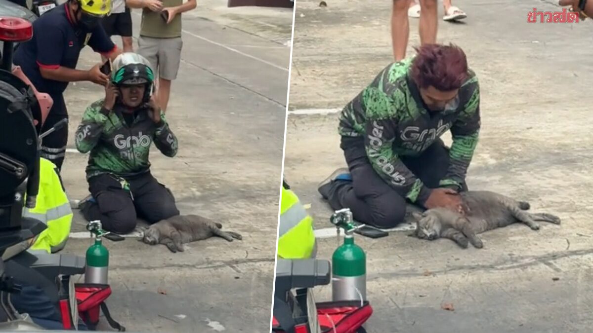 Nam shipper quỳ gập gối bên đường cố cứu mèo trong vụ cháy chung cư: Clip lan truyền chóng mặt, danh tính được truy tìm- Ảnh 1.