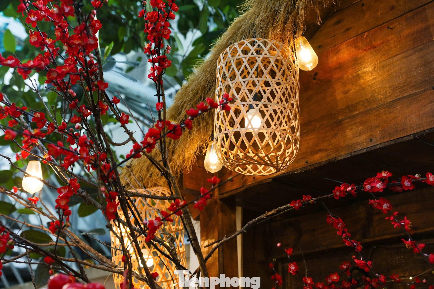 check-tet-2-1770947958-339-width1390height927 Giới trẻ Thủ đô check-in quán cà phê như ‘phim trường Tết’ - 4