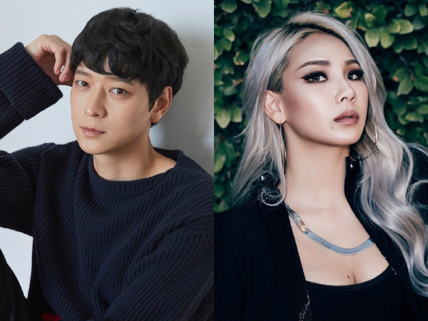 Mới nhất vụ “thánh sống” Kang Dong Won và mỹ nhân 2NE1 bị điều tra khẩn cấp- Ảnh 1.