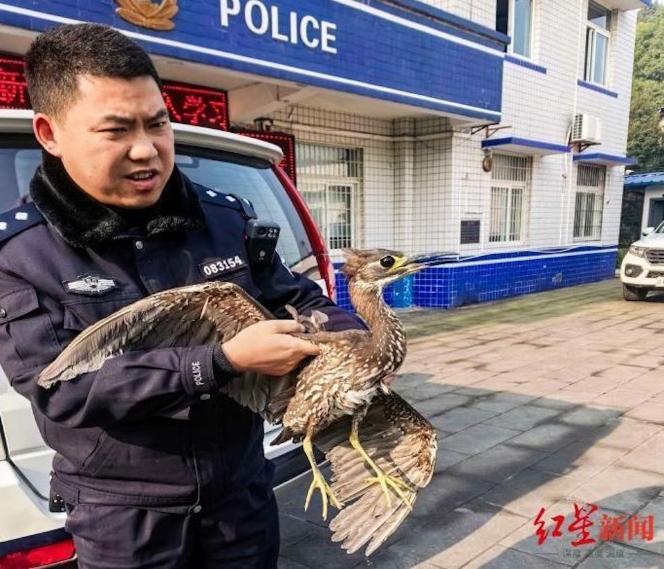 Đi câu cá, người đàn ông bắt được con chim