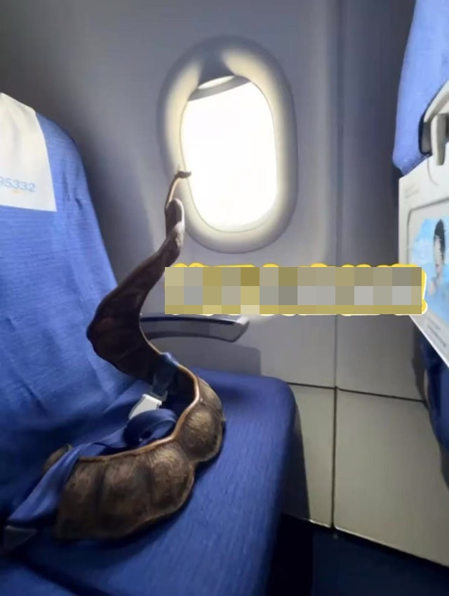 Cô gái thản nhiên quấn