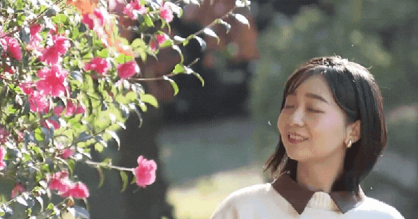 Công chúa Kako đón tuổi 31 cong chua kiko 17669458363361649799254 1767001903823 1767001905196516373781gifpng