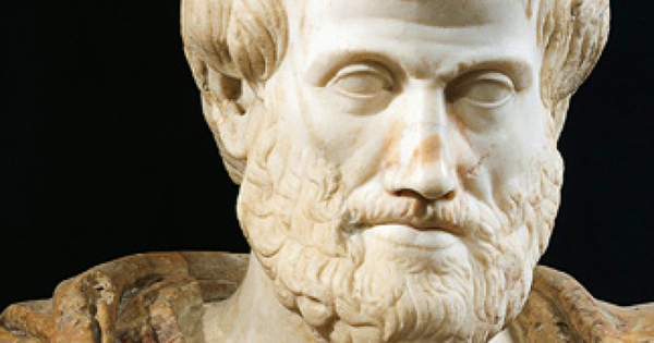 Aristotle đã sai cong cua aristotle 1358853247 17670844092721294737965 0 0 450 720 crop 17670844672771210440338 1767110742086 176711074269517 0 0 477 764 crop 17671107597781595726820jpg