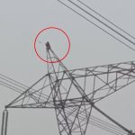 Chồng không cho chơi trò chơi, vợ giận dỗi trèo lên cột điện cao thế cot dien cao the 17693421214281702650720 1769503465108 17695034652661243816689 0 0 604 966 crop 17695034865511138466237jpg