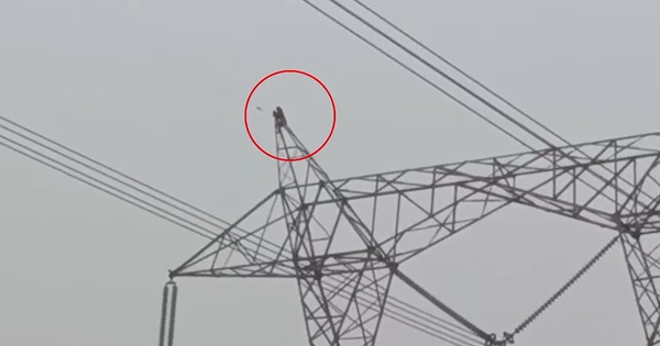 Chồng không cho chơi trò chơi, vợ giận dỗi trèo lên cột điện cao thế cot dien cao the 17693421214281702650720 1769503465108 17695034652661243816689 0 0 604 966 crop 17695034865511138466237jpg