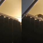 Chuột chạy loạn trong khoang máy bay, hơn 250 hành khách hoảng loạn mắc kẹt d8538695 1765877629154 1765877629848622298986