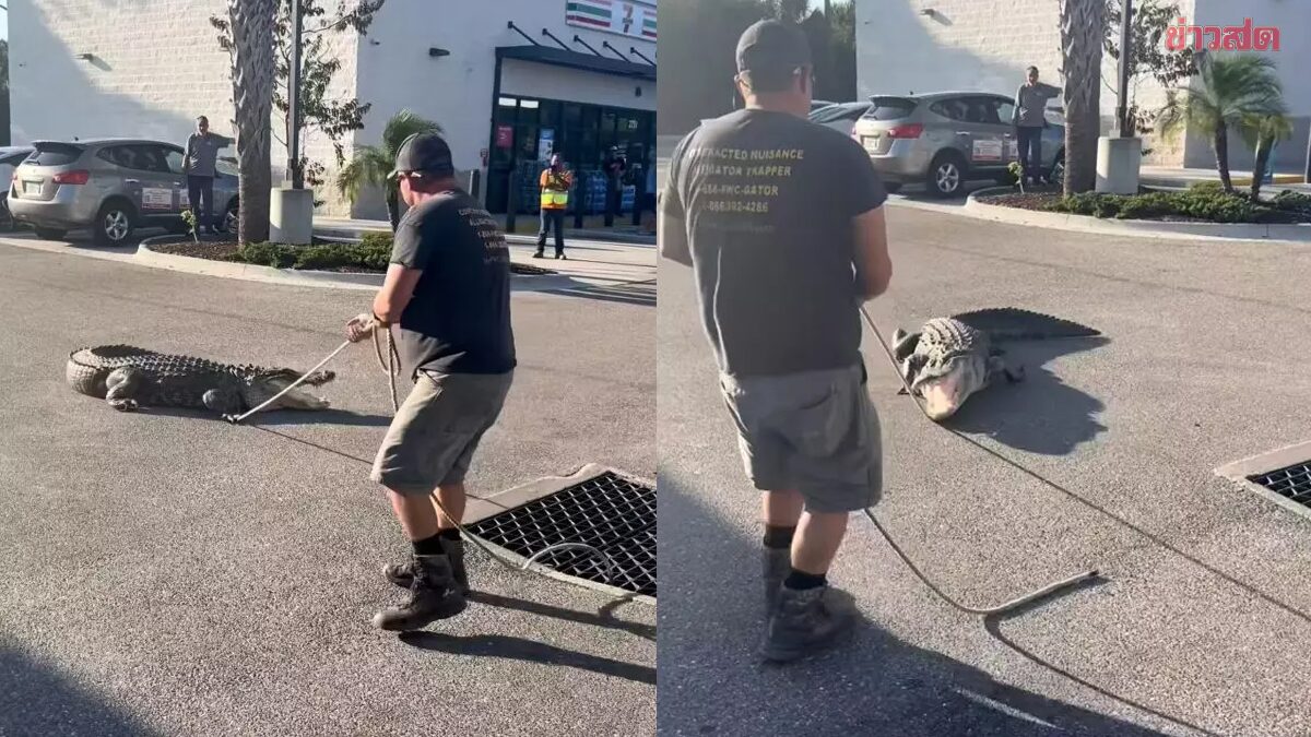 Đang đi đường, người dân phát hiện cảnh tượng