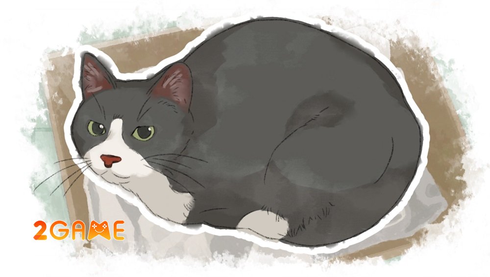 Dear me, I was… mời bạn bước vào cuộc sống bình dị qua nét vẽ màu nước dịu dàng dear me i was upcoming 5