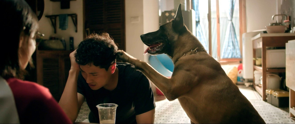 Chuyện gì đang xảy ra với phim Việt giờ vàng?- Ảnh 6.