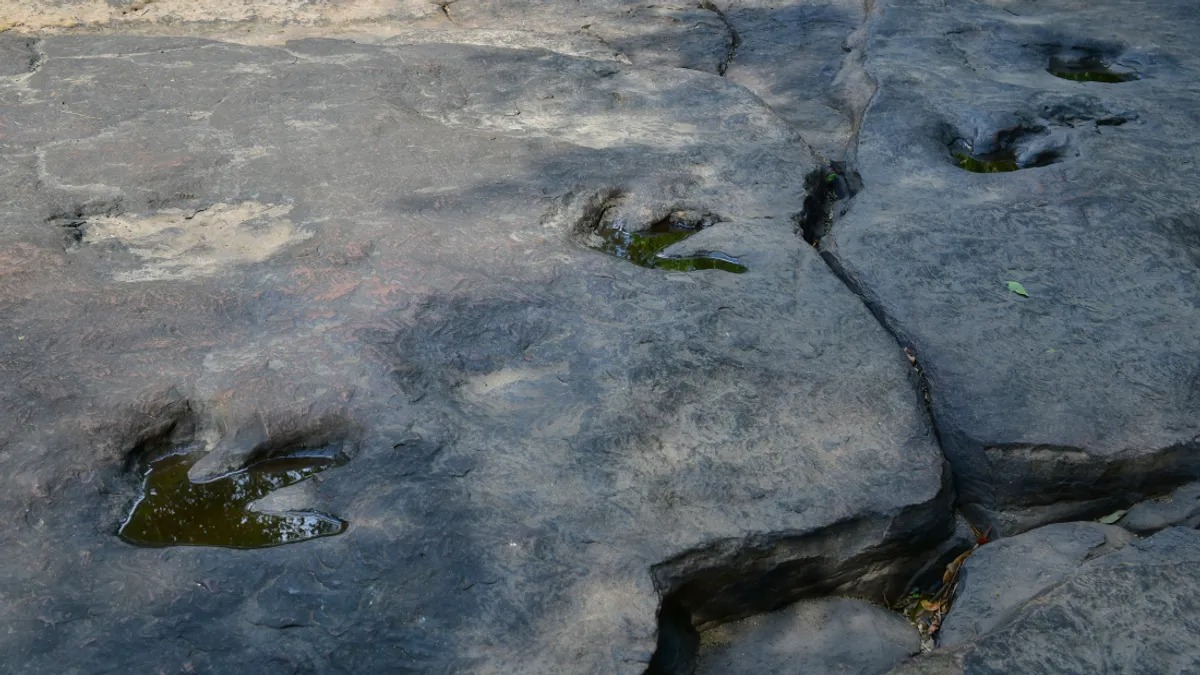 Bí ẩn khoa học đằng sau khả năng tồn tại hàng triệu năm của những dấu chân khủng long hóa thạch- Ảnh 1.