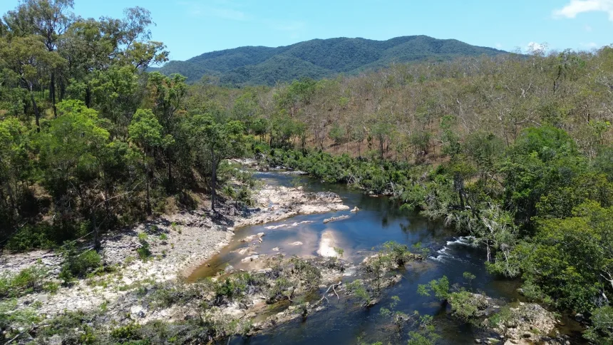 Loài cá cổ đại nhỏ bé chỉ sống giữa 2 thác nước đang bị đe dọa tuyệt chủng- Ảnh 2.
