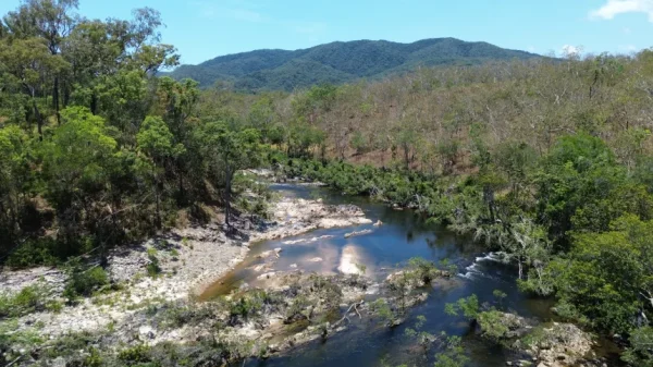 Loài cá cổ đại nhỏ bé chỉ sống giữa 2 thác nước đang bị đe dọa tuyệt chủng dji 0550 10059315680053008828554 1767164394330 1767164394576401710636