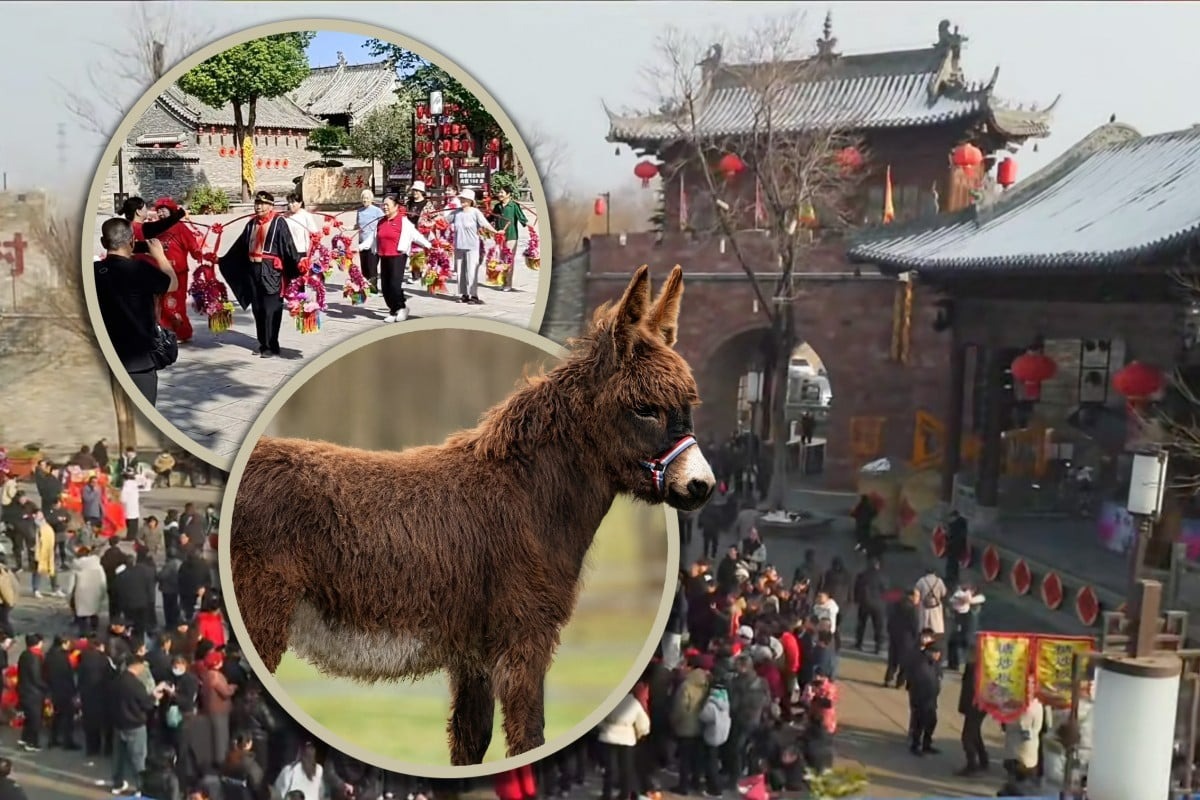 Ngôi làng cổ 600 năm tuổi tại Trung Quốc đổi đời nhờ đóng phim: Cả người và vật nuôi đều thành diễn viên- Ảnh 2.
