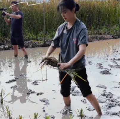 Hết cứu Phạm Băng Băng- Ảnh 6. Hết cứu Phạm Băng Băng- Ảnh 6.