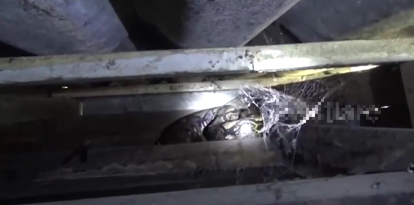 Nhìn lên trần nhà, người đàn ông phát hiện cảnh tượng