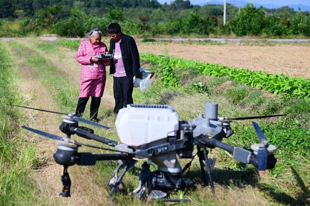 Bà ngoại 82 tuổi gây sốt mạng Trung Quốc với kỹ năng điều khiển drone nông nghiệp và bán hàng livestream- Ảnh 4.