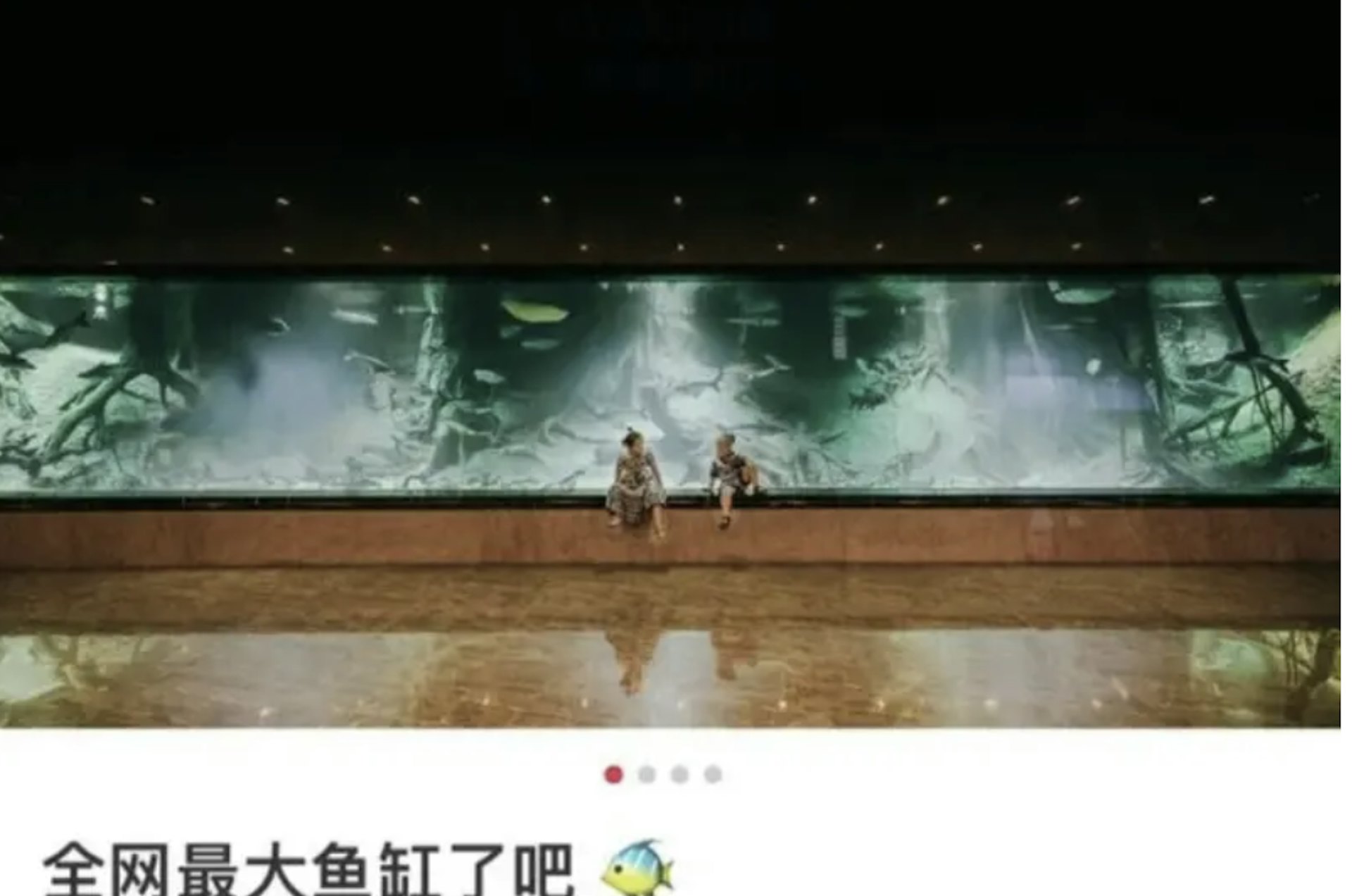 Cuộc sống không tưởng của “Tiên nữ TikTok” nghi vợ trùm lừa đảo Trần Chí: Biệt thự nuôi cá mập, 6 phi cơ riêng, piano bằng vàng ròng- Ảnh 5.