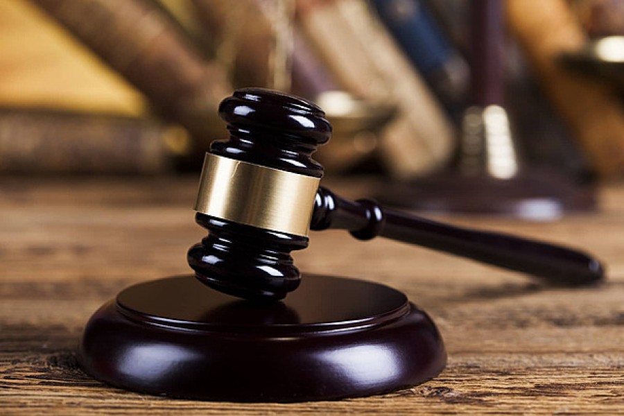 Tỉa cành mọc chặn lối đi, không ngờ là cây quý có giá 3,8 tỷ đồng, hàng xóm sang đòi 180 triệu đồng, tòa tuyên bố: Không cần đền- Ảnh 2.