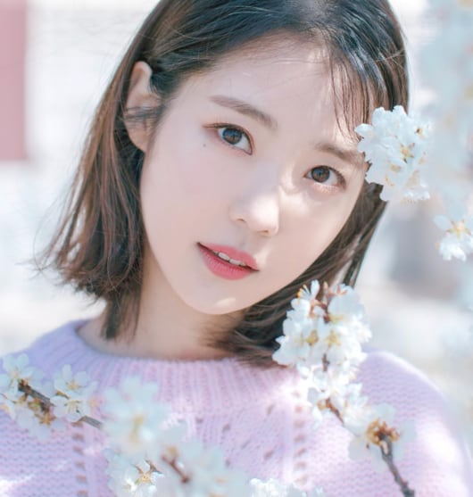 Diễn viên Diễn viên