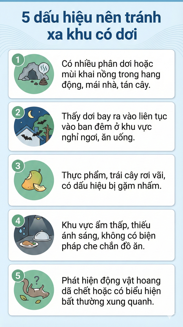 Cảnh báo: Tìm thấy loài dơi mang virus Nipah nhiều nhất ở nơi này - Có người chủ quan thường tới, ngủ lại- Ảnh 7.