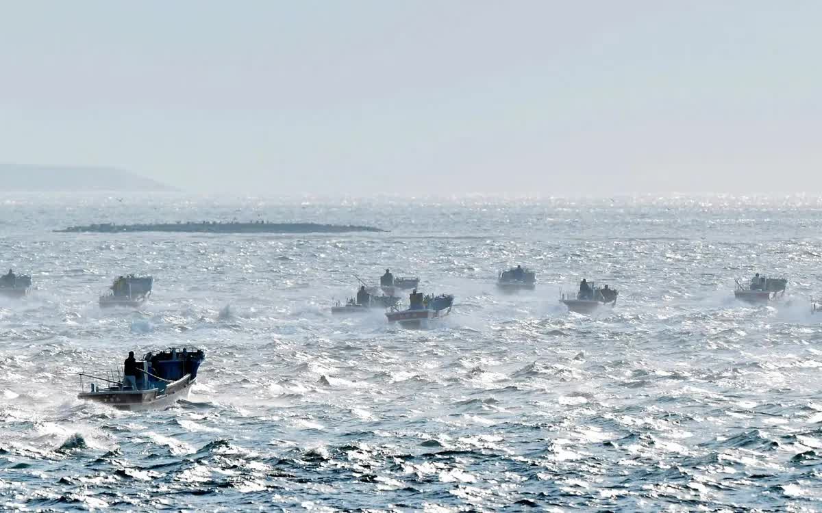 Tàu cá tiến vào khu vực thu hoạch tảo kombu ngoài khơi Nemuro, Hokkaido, Nhật Bản, ngày 2/6/2018 (Ảnh: The Asahi Shimbun/Getty Images)