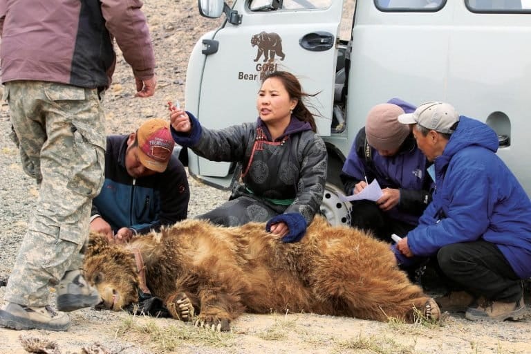 Hiếm hơn cả gấu trúc: