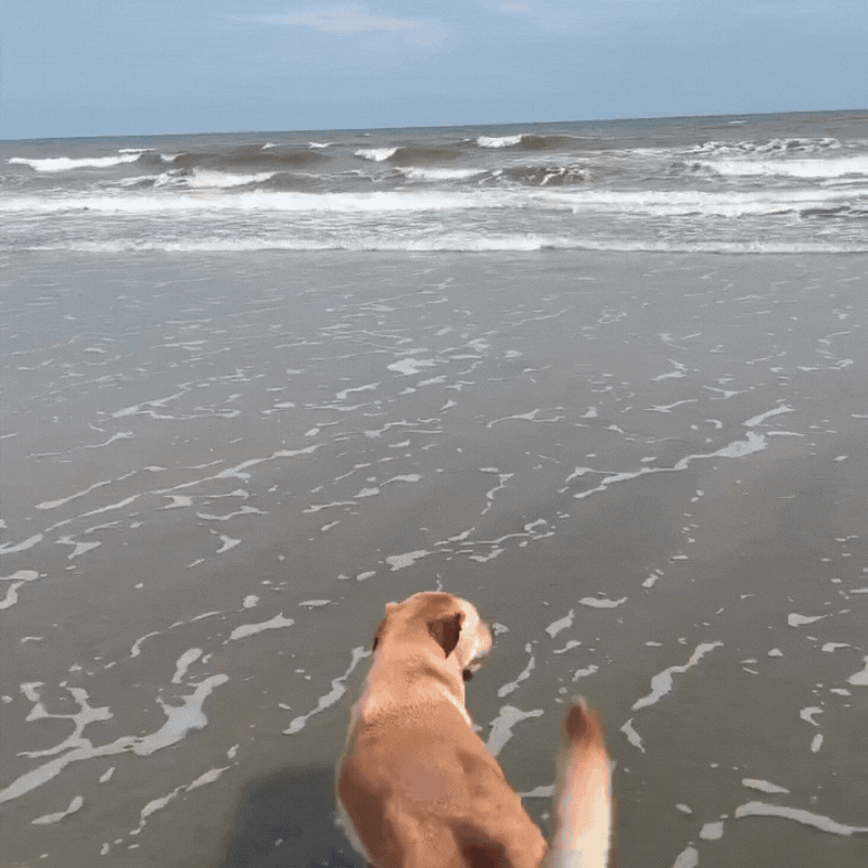 Khoảnh khắc nhớ mãi của Tăng Thanh Hà- Ảnh 6.