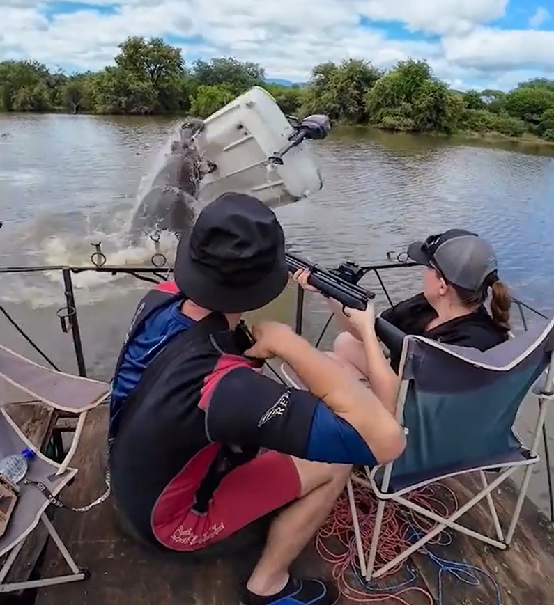 Hà mã hung hãn lật úp chiếc thuyền, người đàn ông rơi xuống sông- Ảnh 1.