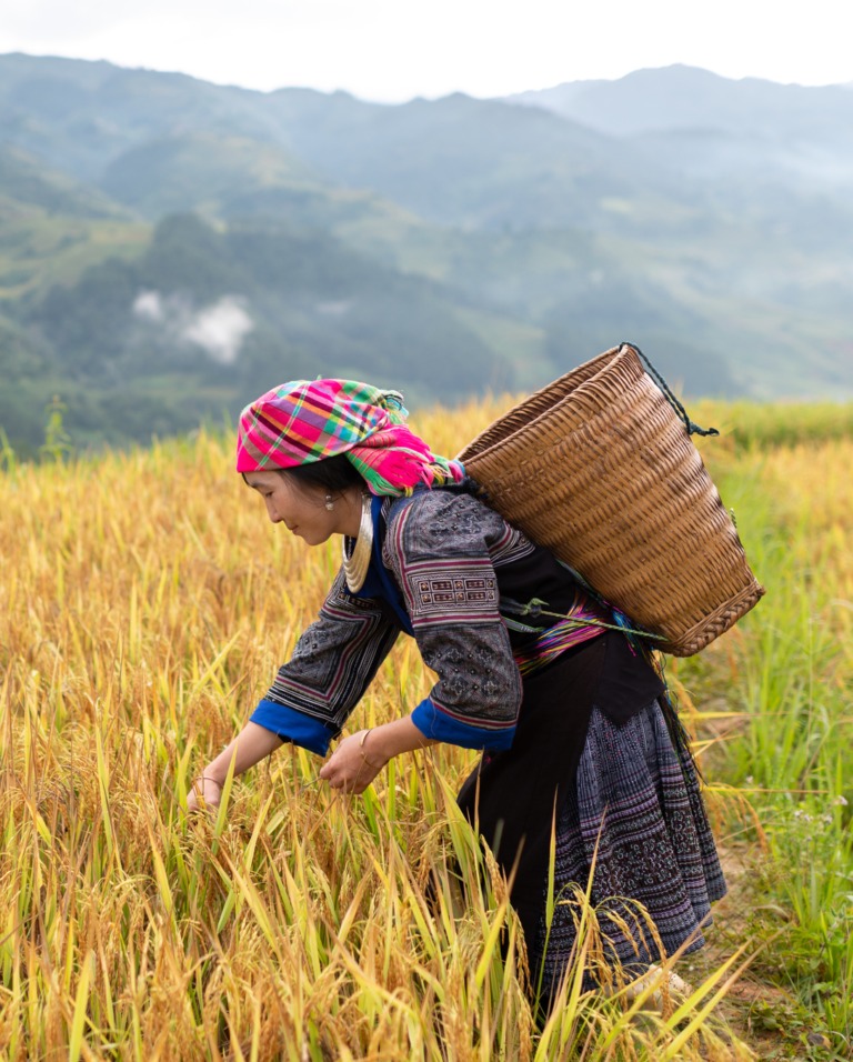 "Hầm tận thế" mở cửa: Việt Nam đã gửi gì? hmong 768x956 1770973350326 17709733505901148777093