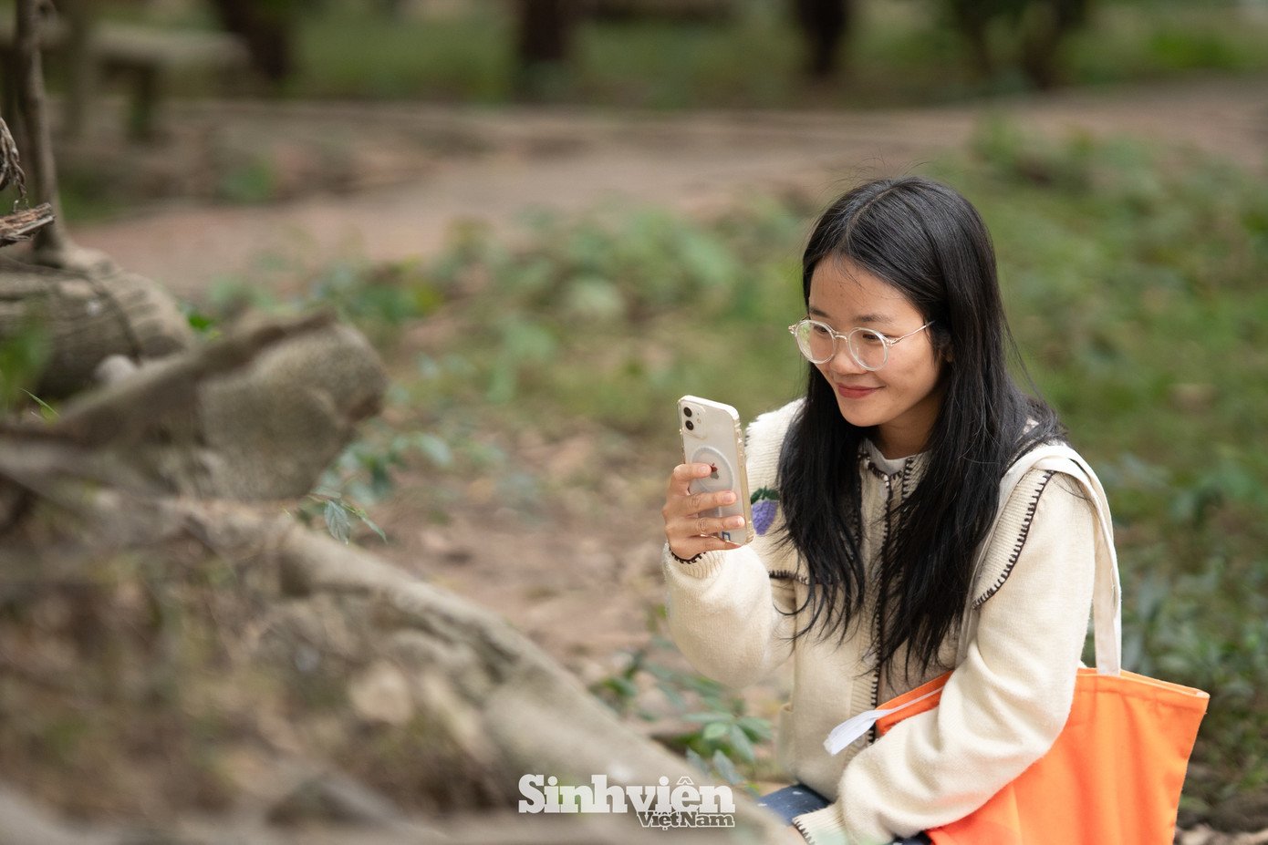 Sự thật về ‘đảo mèo’ nằm giữa hồ Bảy Mẫu, công viên Thống Nhất - 20